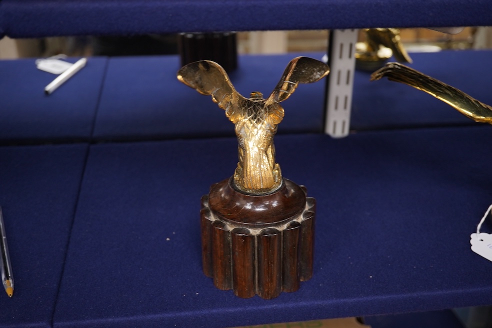 Two brass car mascots in the form of eagles, one mounted on a threaded radiator cap, the other mounted on a wooden base, the larger with a wingspan of 31cm. Condition - fair, one eagle with bent wing.